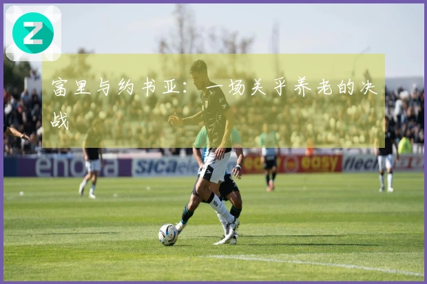 富里与约书亚：一场关乎养老的决战