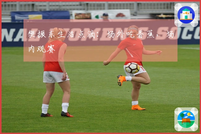 樊振东生活点滴：场外吃香蕉，场内观赛